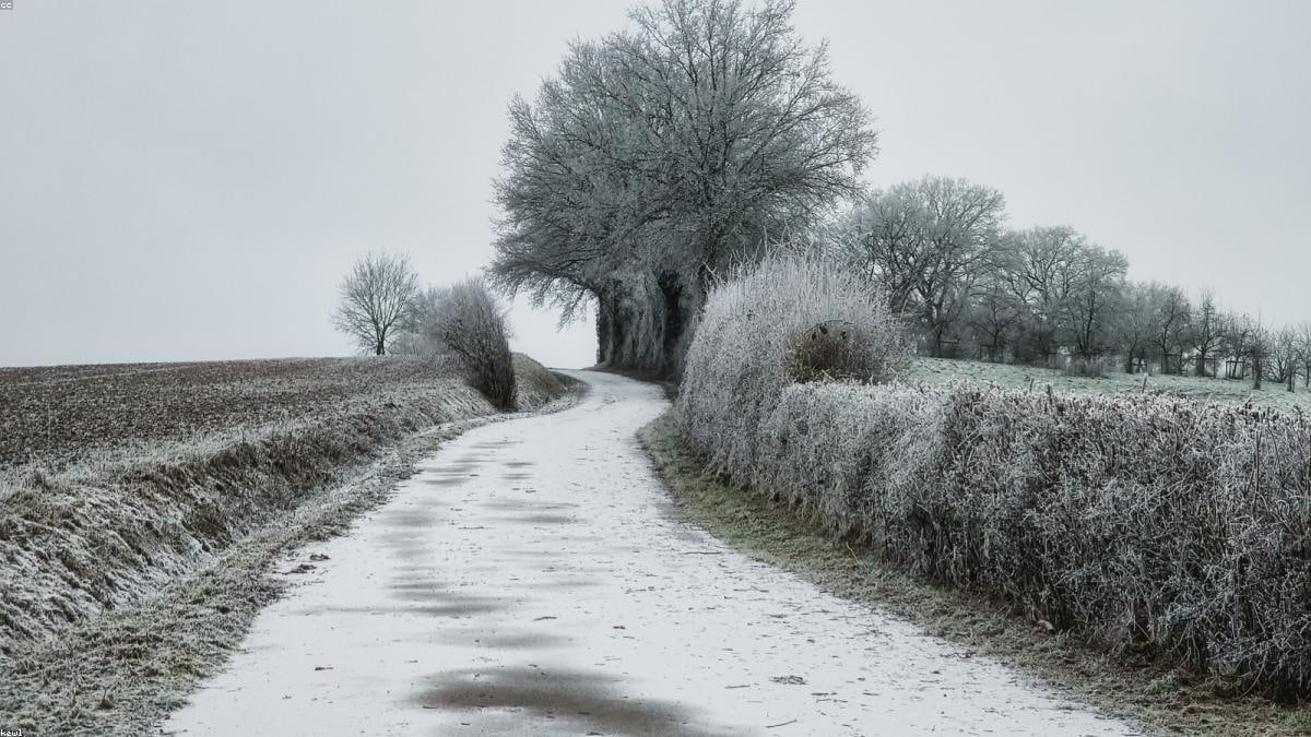 Vocabulaire agriculture et campagne en anglais